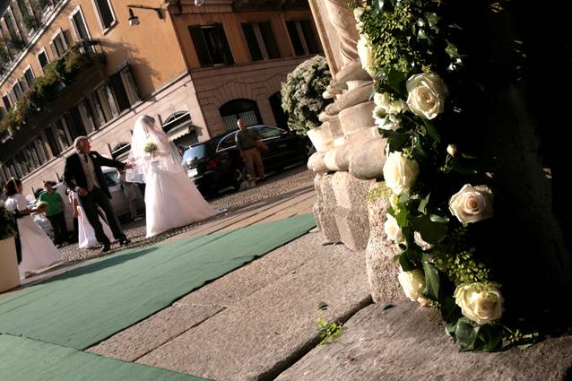 Heidi Busetti Wedding Reporter