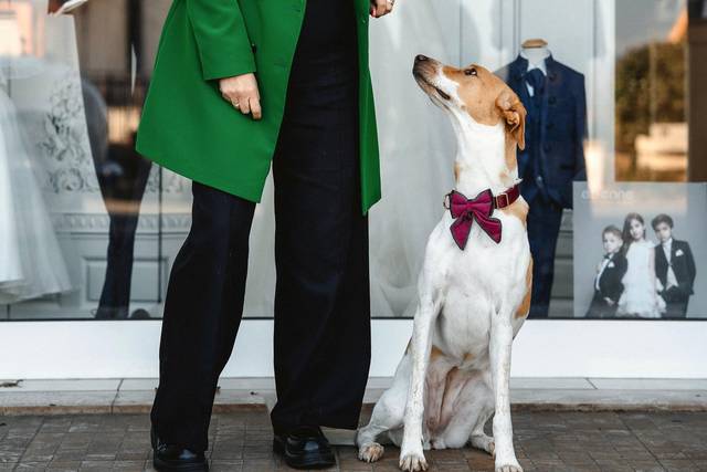 Ogni cane ha la sua personlita