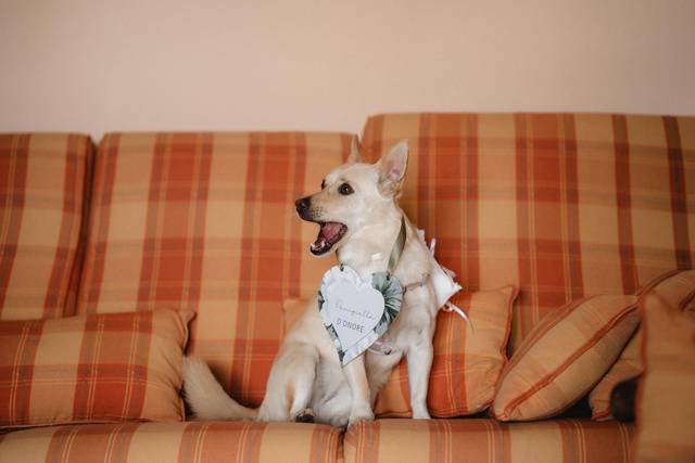 Aspettando la sposa