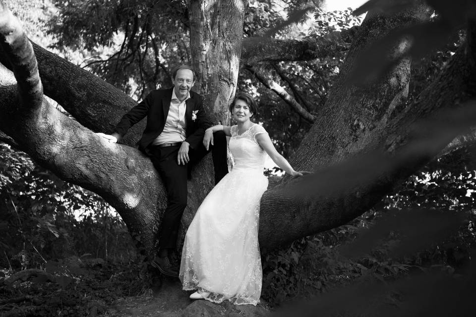 Sposi con alberi