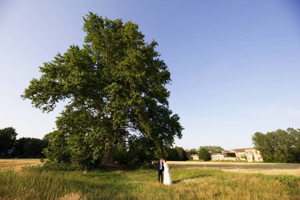 Bacio campagna