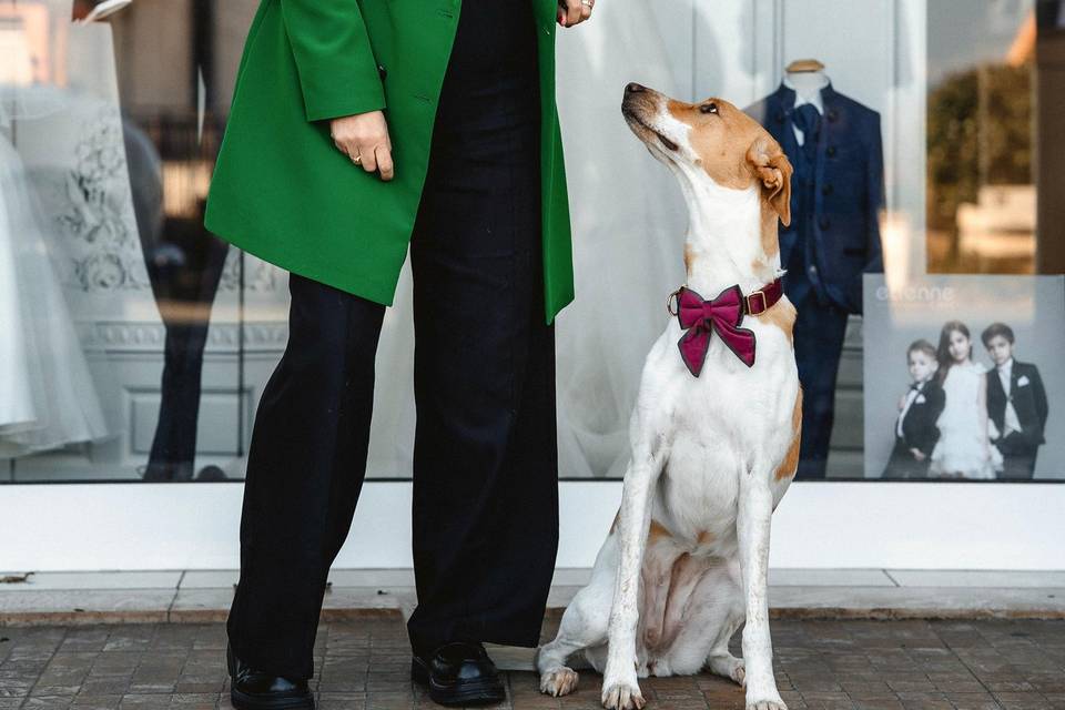 Ogni cane ha la sua personlita