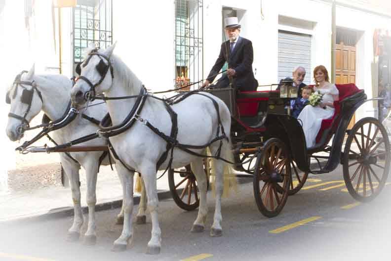 In Carrozza