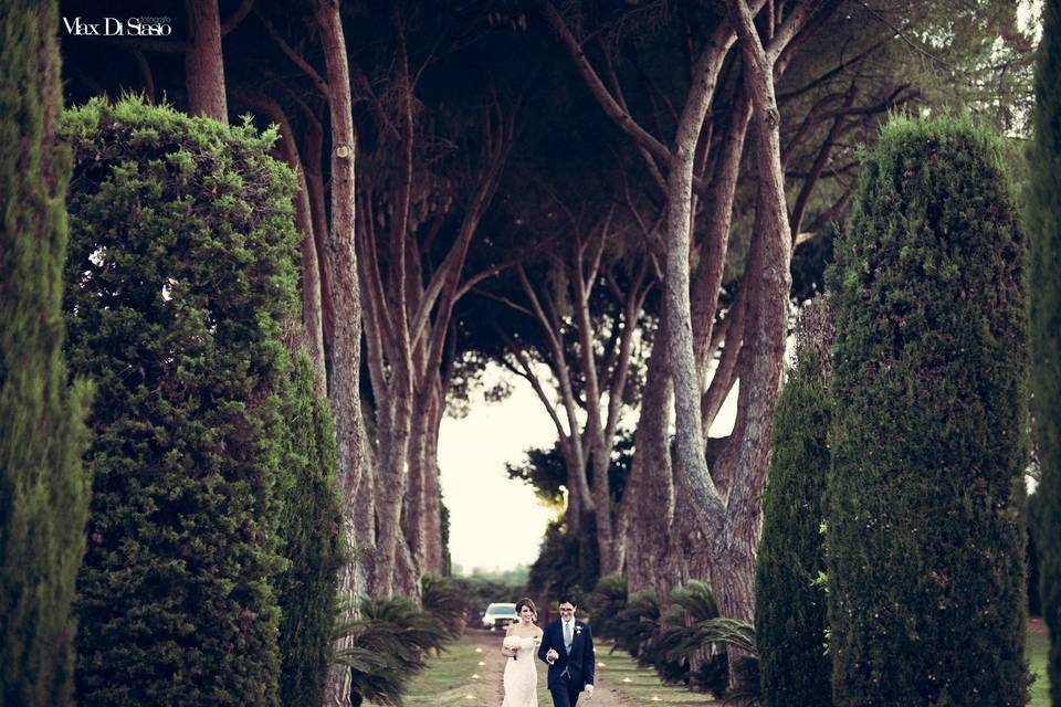 Max Di Stasio Fotografo