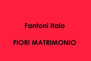 Fantoni Italo logo