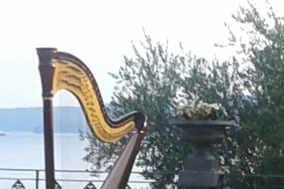 Wedding Harp