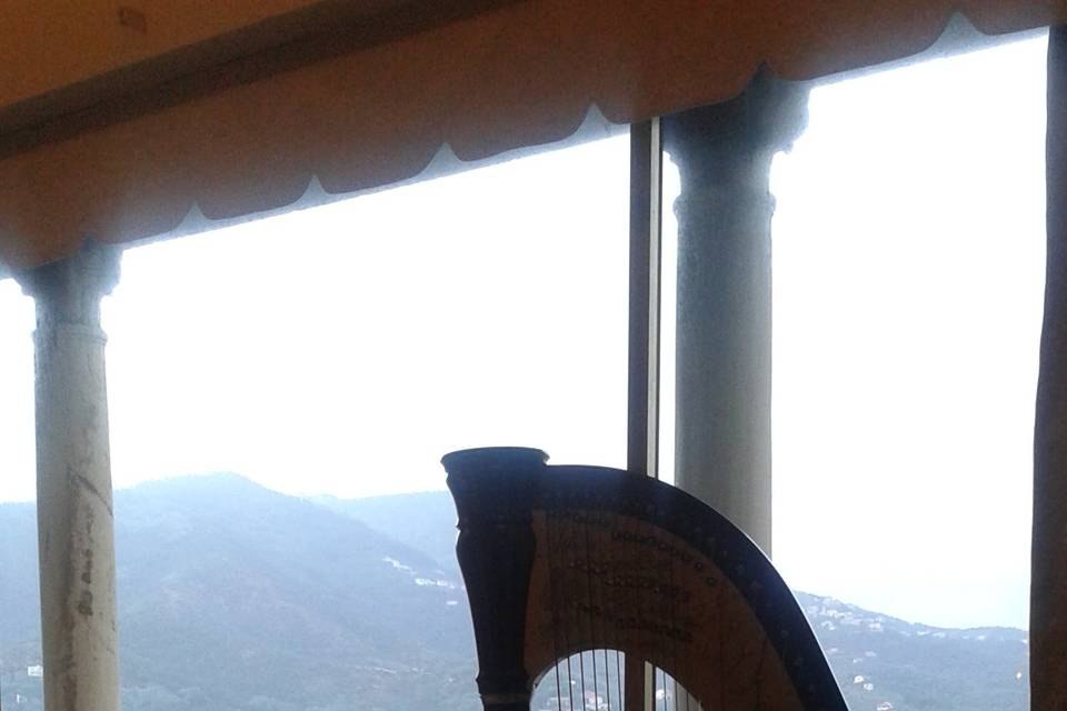 Wedding Harp