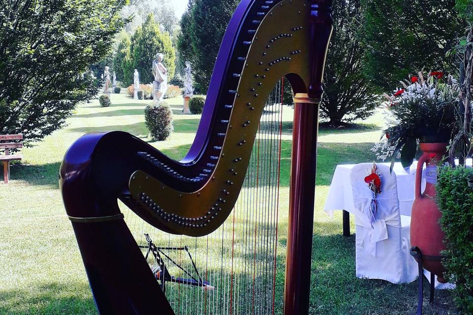 Wedding Harp