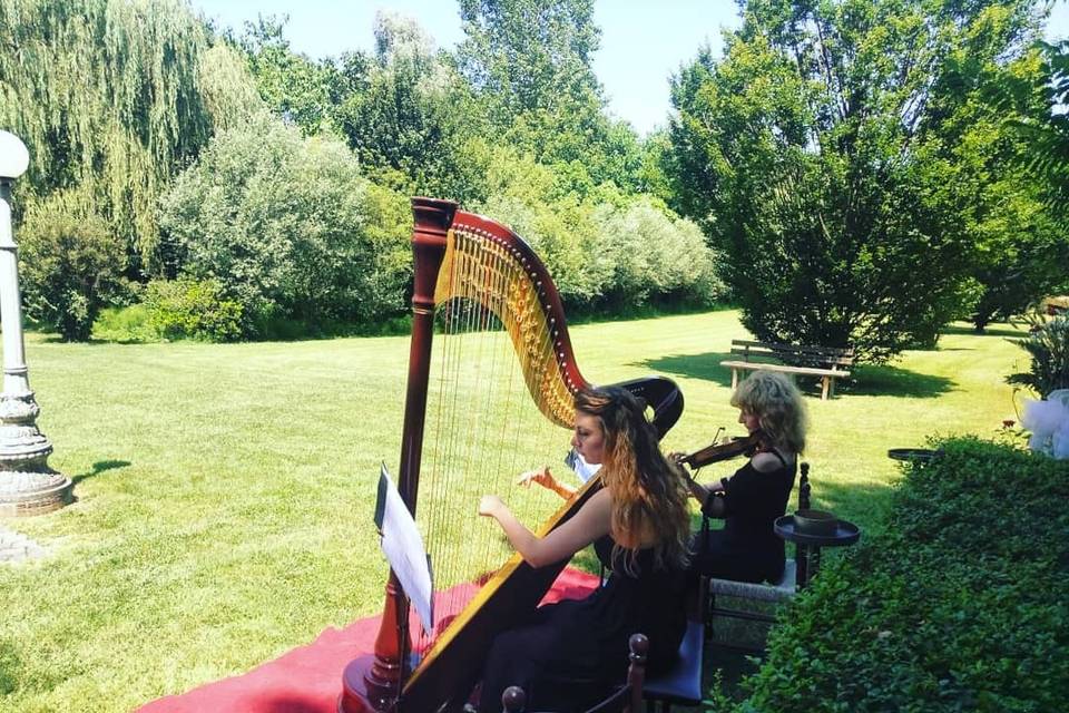 Wedding Harp