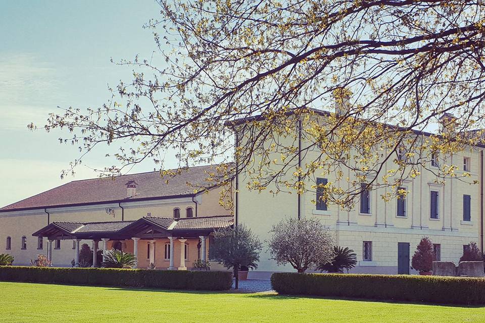 Cena nel parco