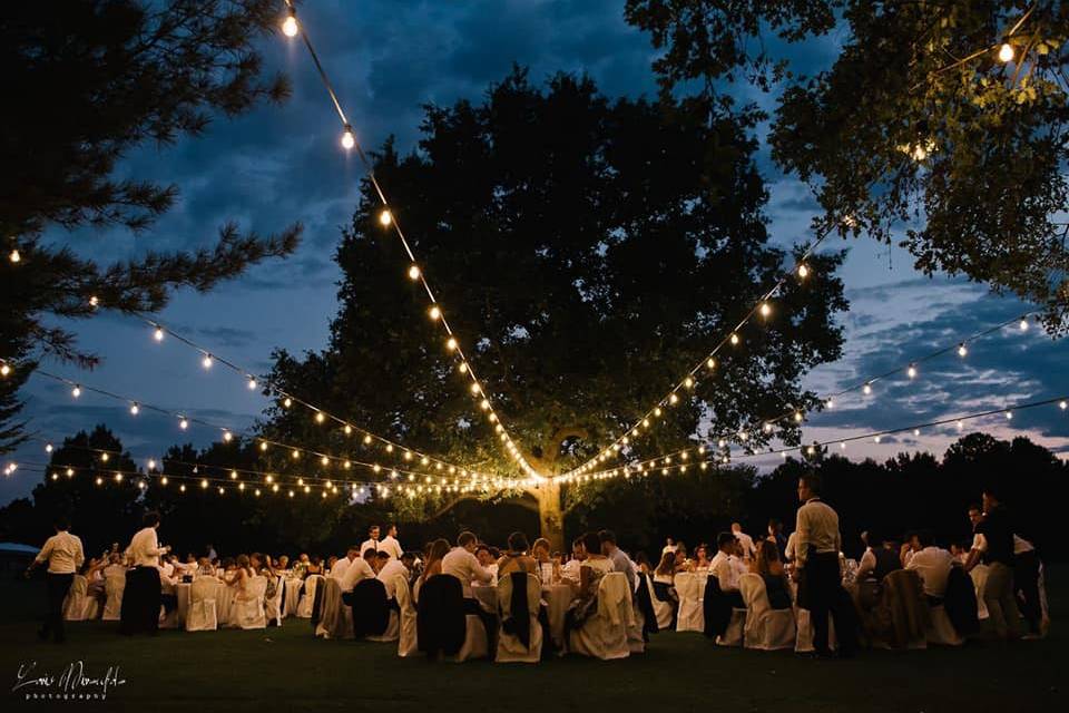 Cena nel parco