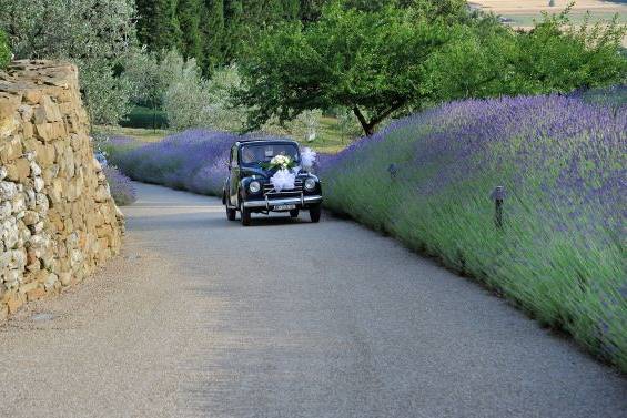 Wedding in Tuscany