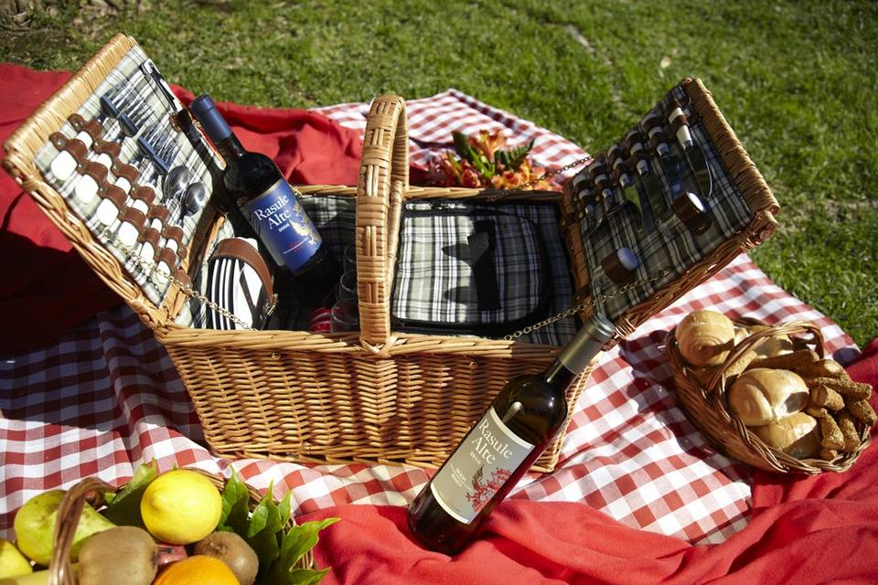 Pic Nic nel Bosco