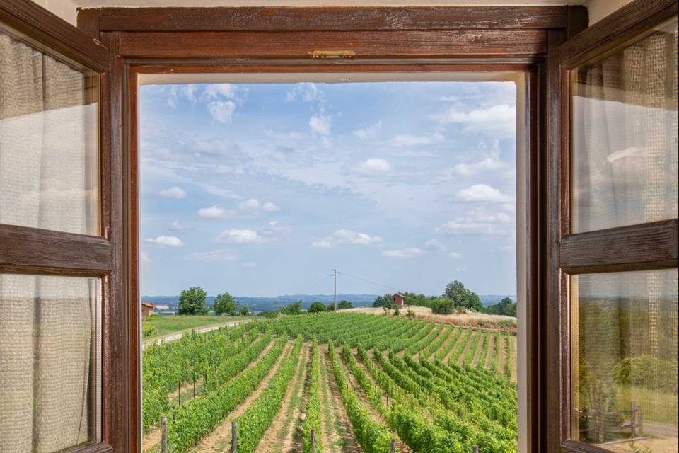 Vista vigneti