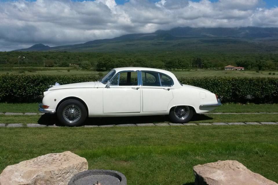 Jaguar s3.4 1960