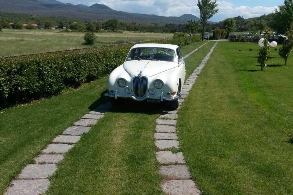 Jaguar s3.4 1960