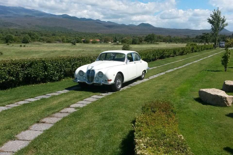 Jaguar s3.4 1960