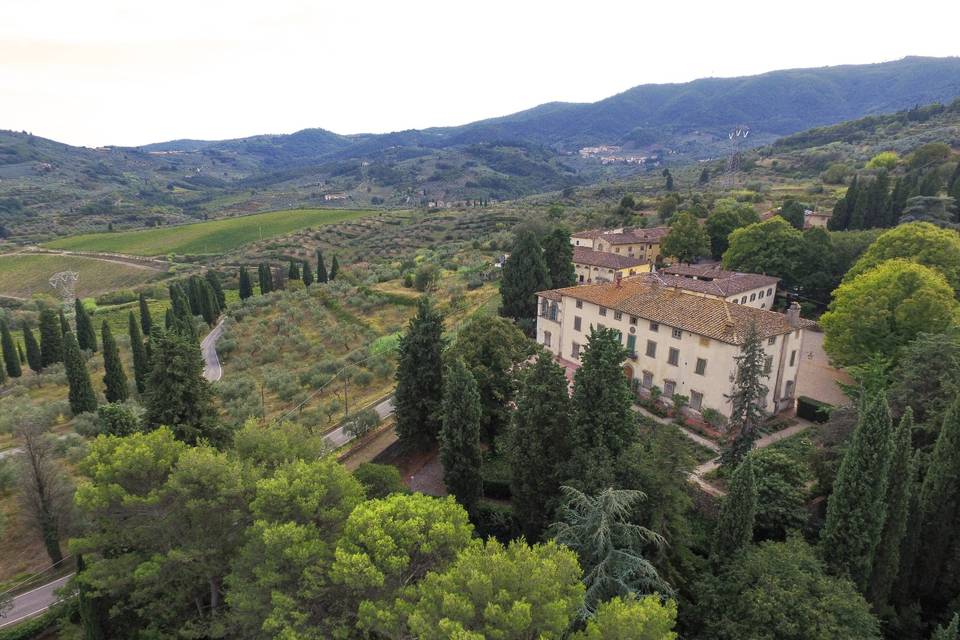 Tenuta di Capezzana