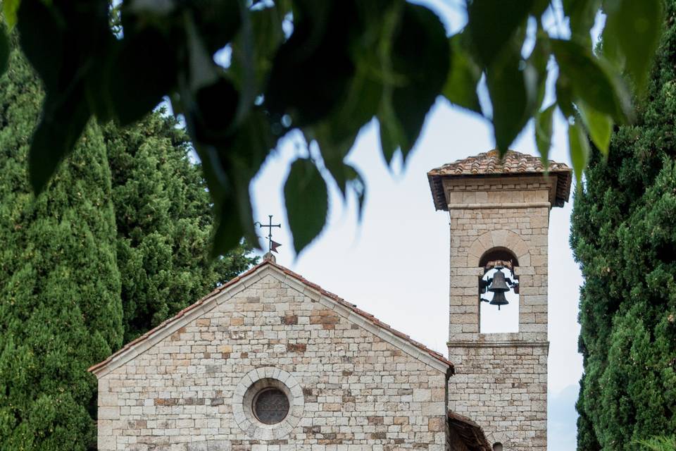 Tenuta di Capezzana