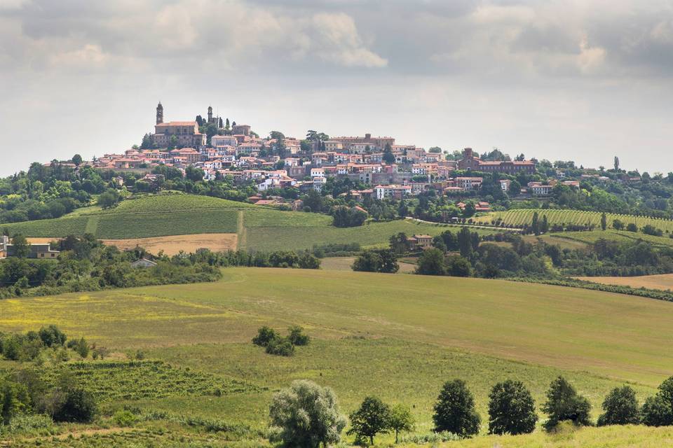 Vignale Monferrato