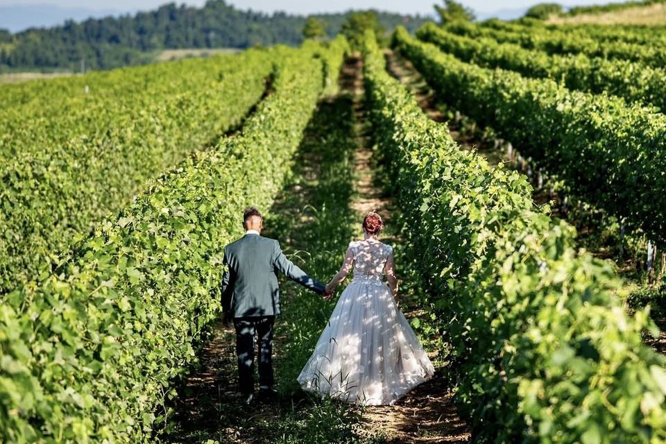 Tra i vigneti...