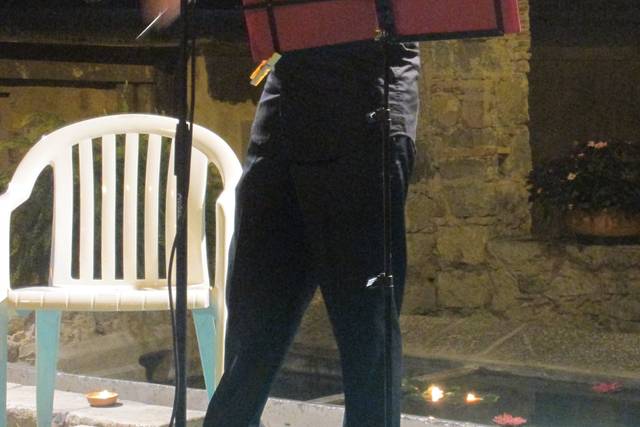 La melodia del violino