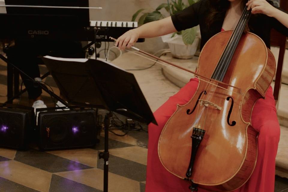 Violoncello