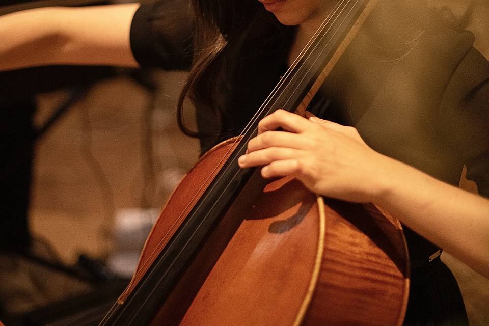 Violoncello matrimonio musica