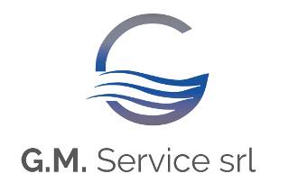 G.M Service logo