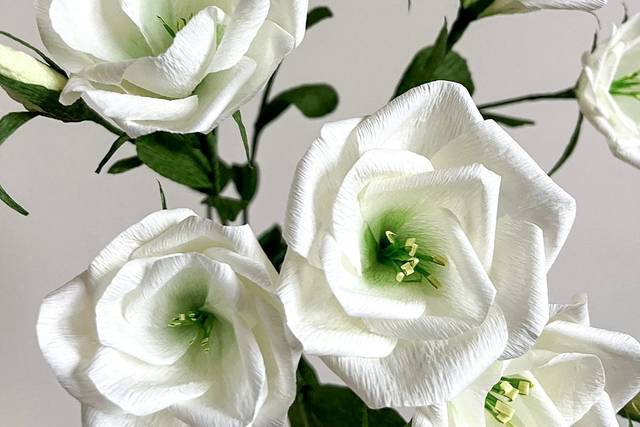 Bouquet di lisianthus bianchi