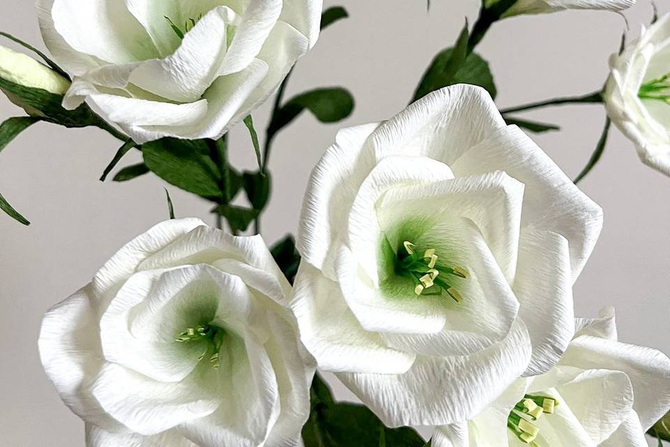 Bouquet di lisianthus bianchi