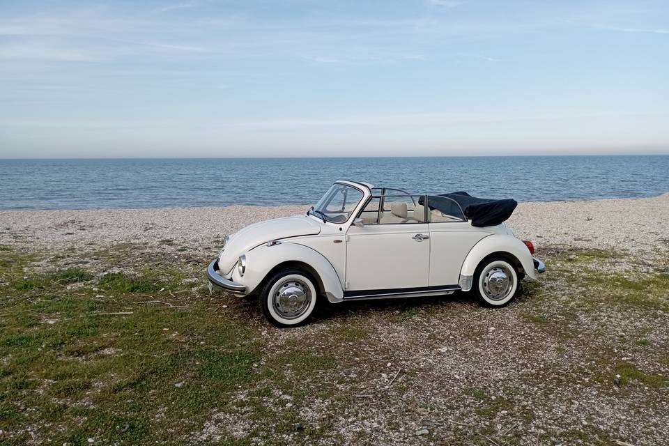 Maggiolone Cabrio