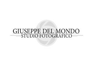 D.M.G Studio Fotografico