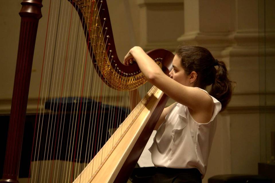 Harp Concert