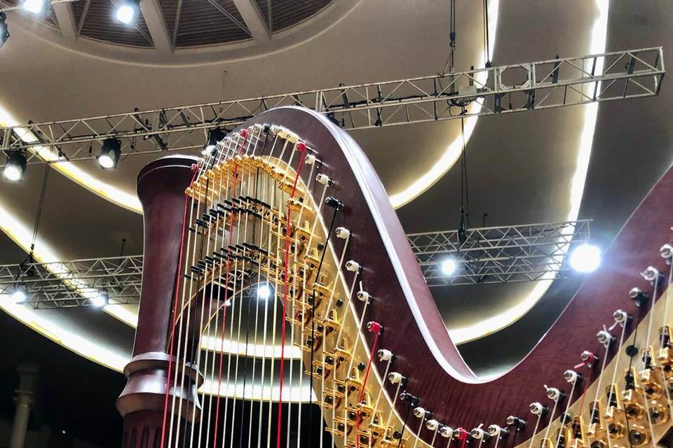 Harp Concert