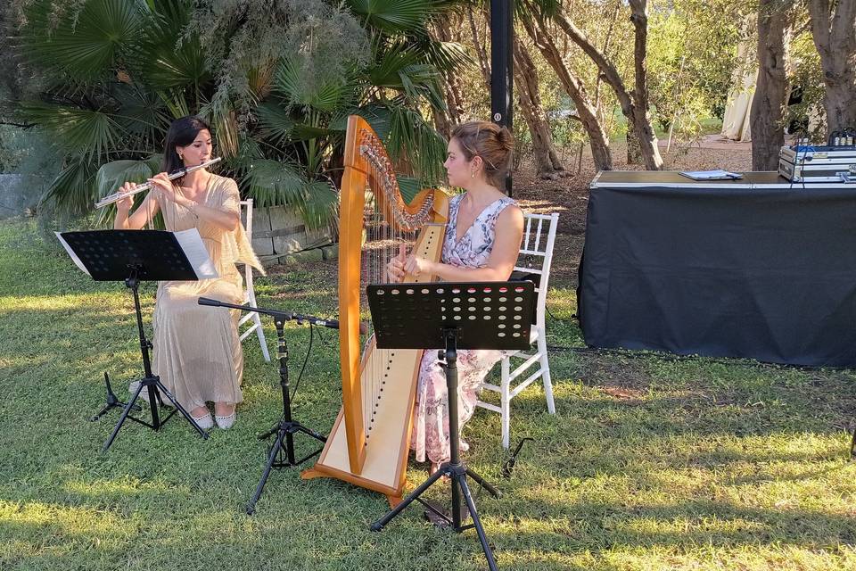 Zephyr Duo