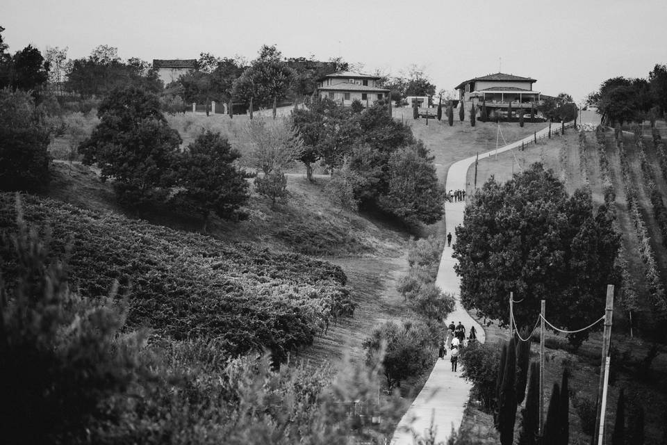 Francesco Ferrarini Studio