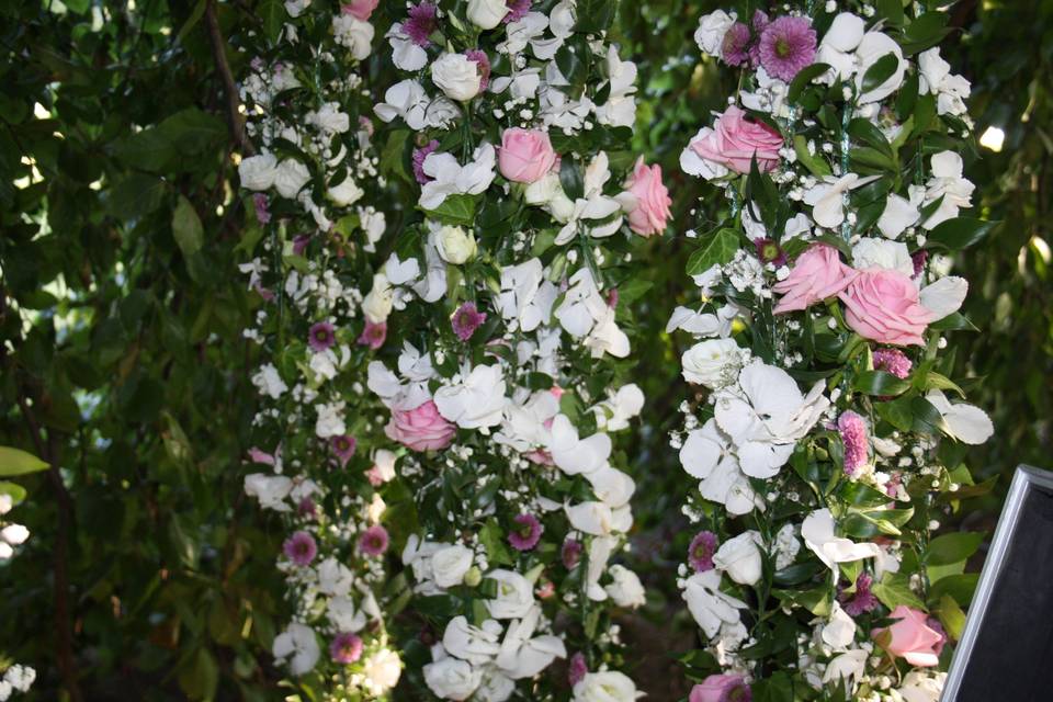 Fiorinmente di D'Abbene Gaetano