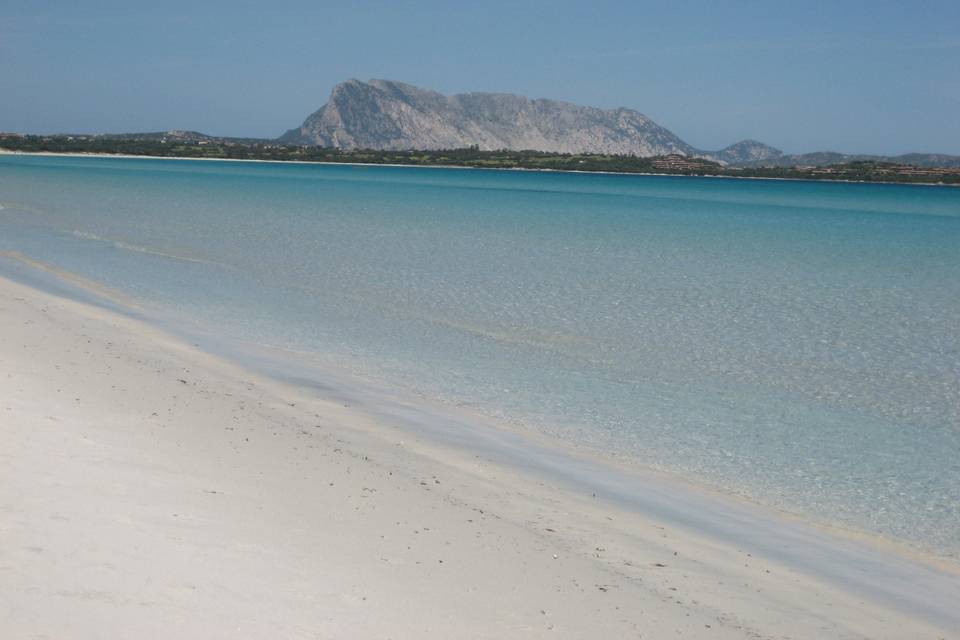 Sardegna