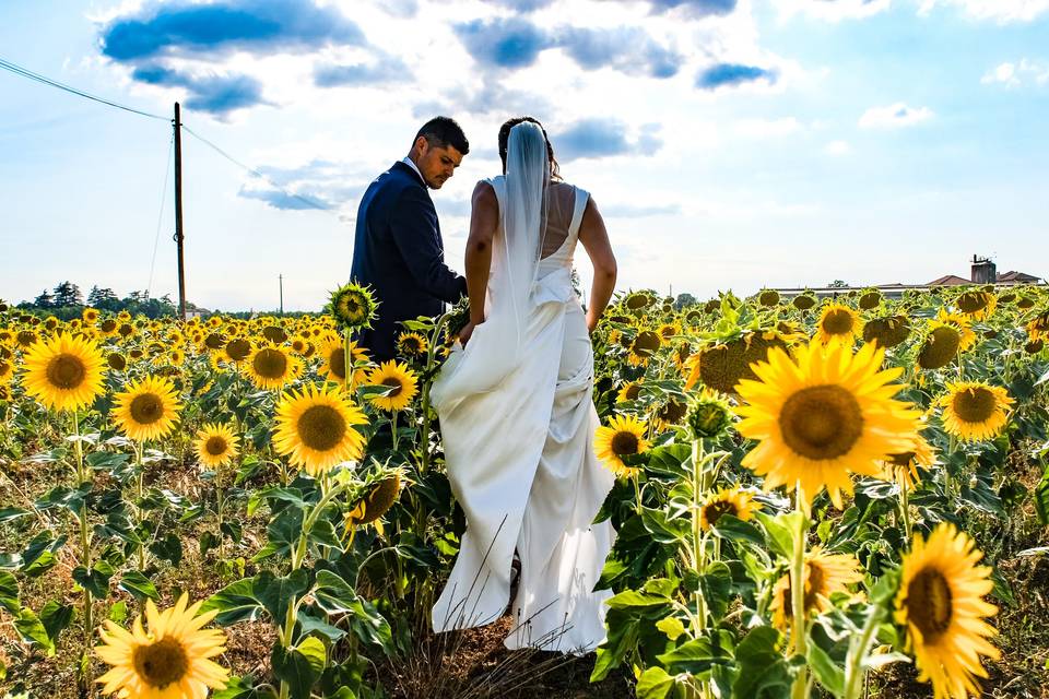 Campo di girasoli wedding day