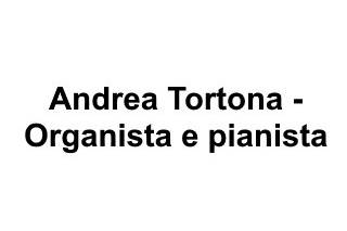 Andrea Tortona - Organista e pianista