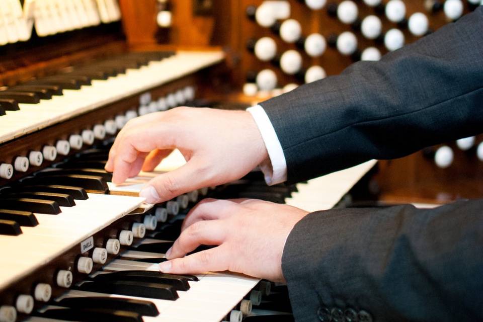 Organista Alessandria