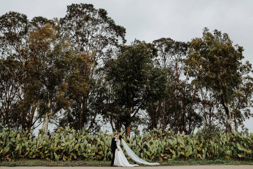 Wedding in salento