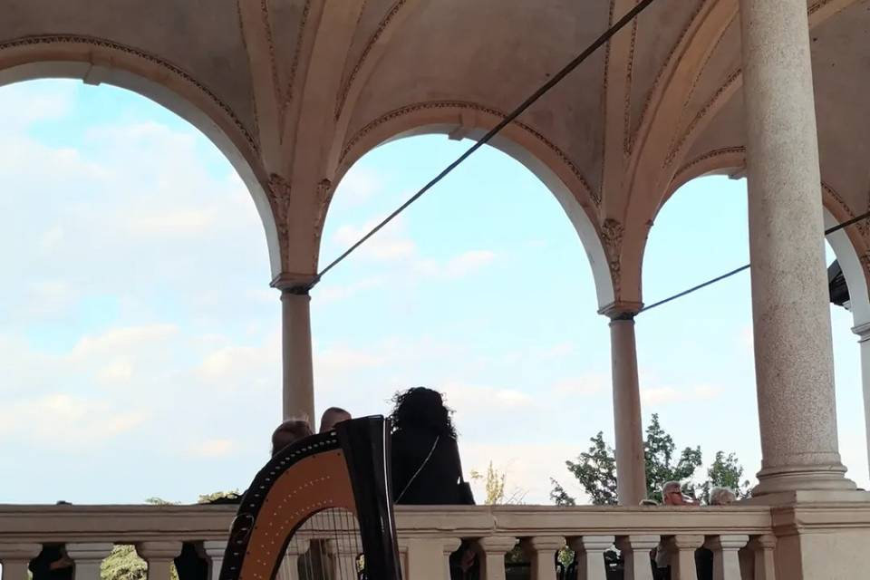 Arpa classica