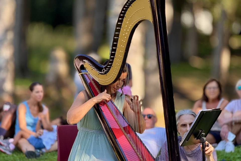 Arpa classica