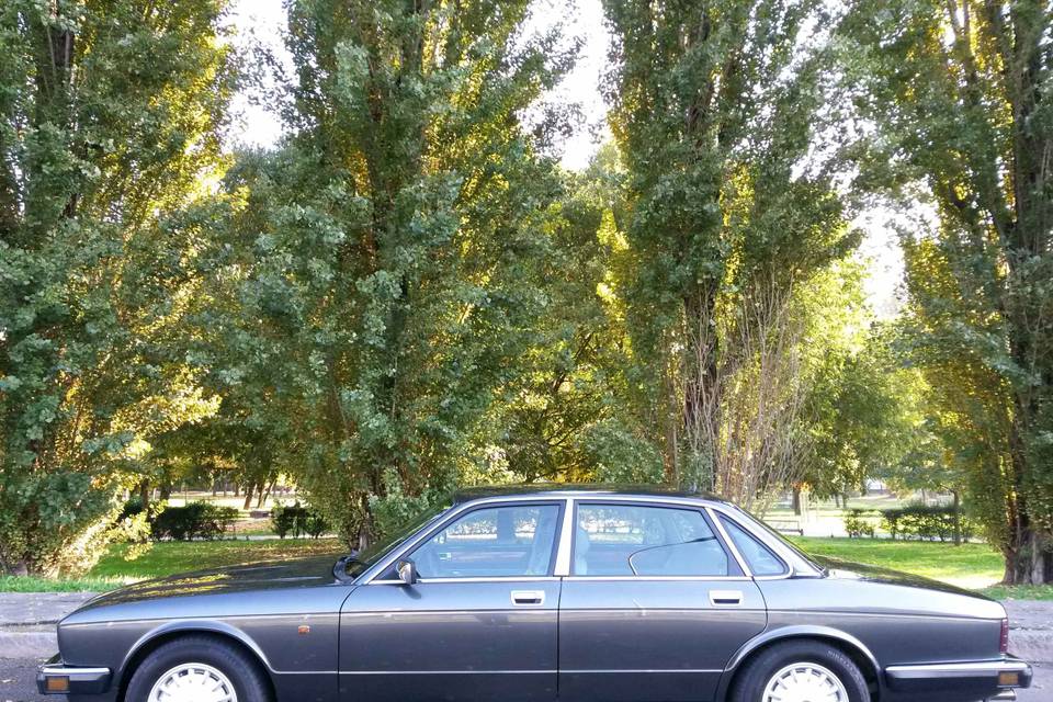 Jaguar XJ6 1989