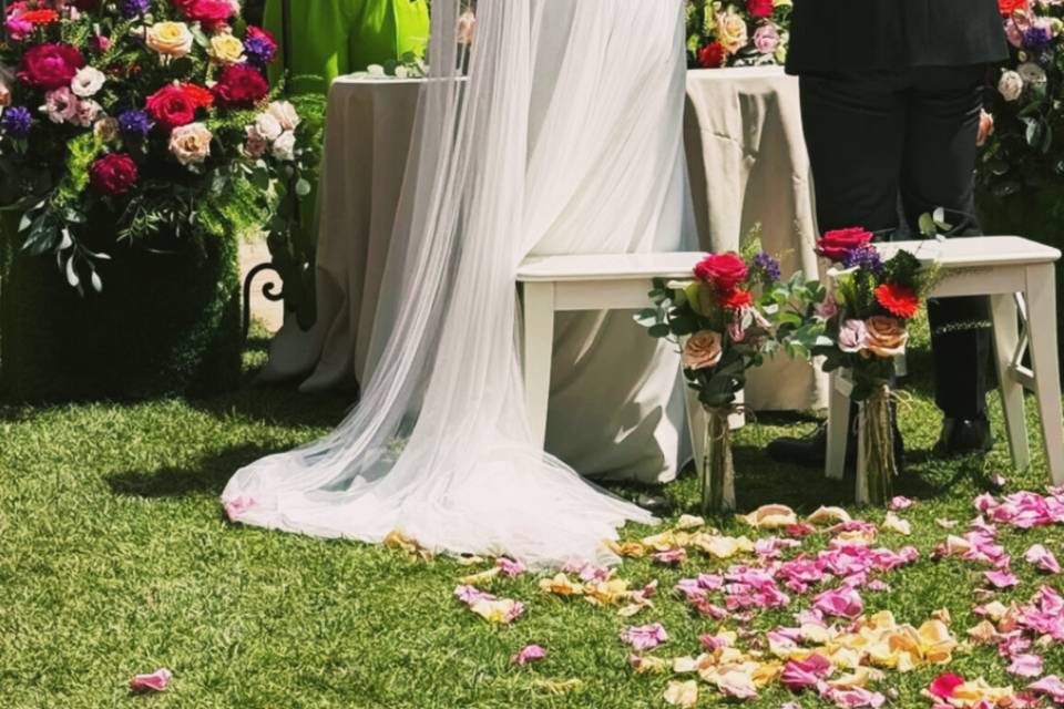 Matrimonio P&L
