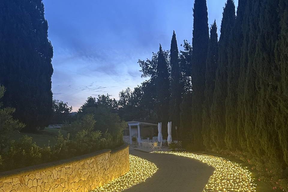 Luci