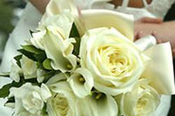 Sposa