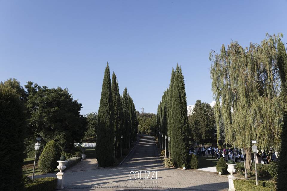 VIALE